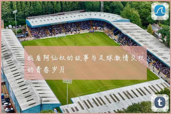 我看阿仙奴的故事与足球激情交织的青春岁月