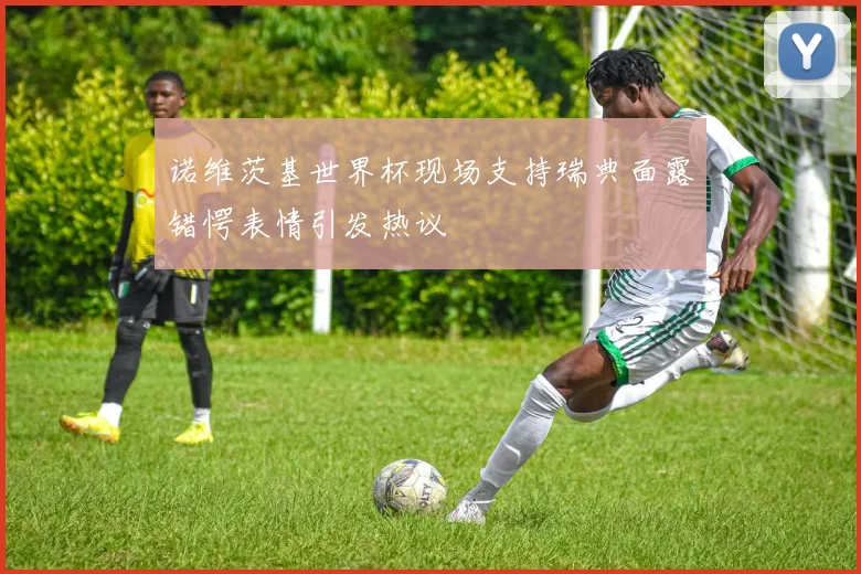 诺维茨基世界杯现场支持瑞典面露错愕表情引发热议